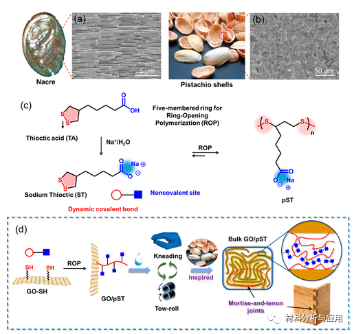 江南大学《ACS Nano》：受开心果启发的块状氧化石墨烯基材料，具有可成形性和可回收性