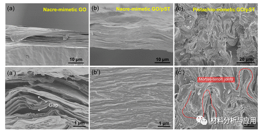江南大学《ACS Nano》：受开心果启发的块状氧化石墨烯基材料，具有可成形性和可回收性
