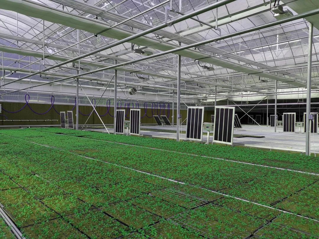 绿能嘉业亮相第29届中国杨凌农高会 石墨烯赋能农业 助力乡村振兴