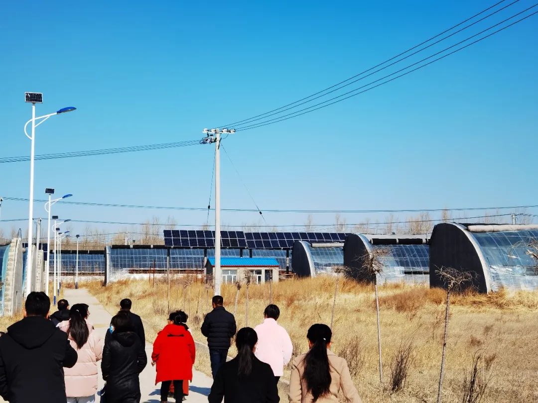 绿能嘉业受邀来到科右前旗，推动现代农业园区建设，实现“京蒙协作 科技助农”