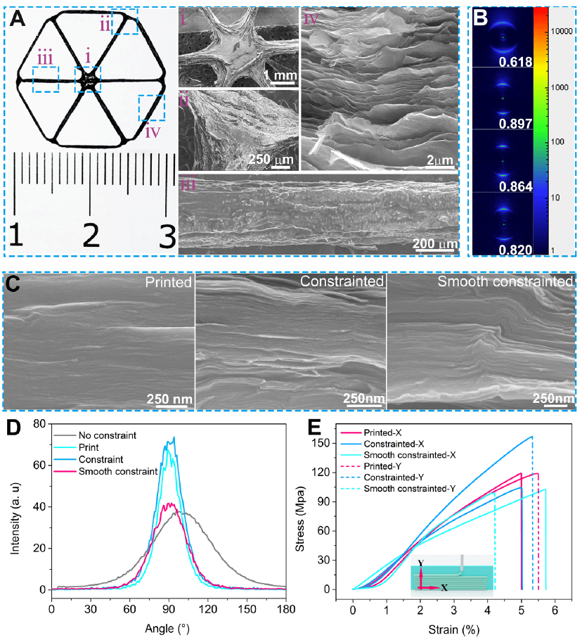 哈工大杨治华、钟晶《ACS Nano》：3D打印氧化石墨烯软体机器人