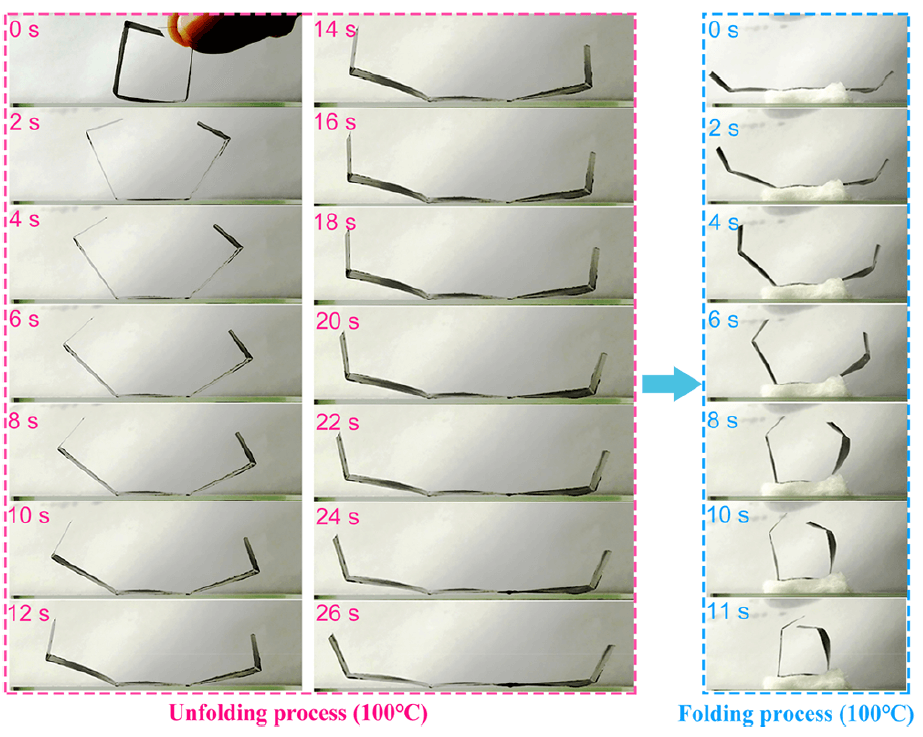 哈工大杨治华、钟晶《ACS Nano》：3D打印氧化石墨烯软体机器人