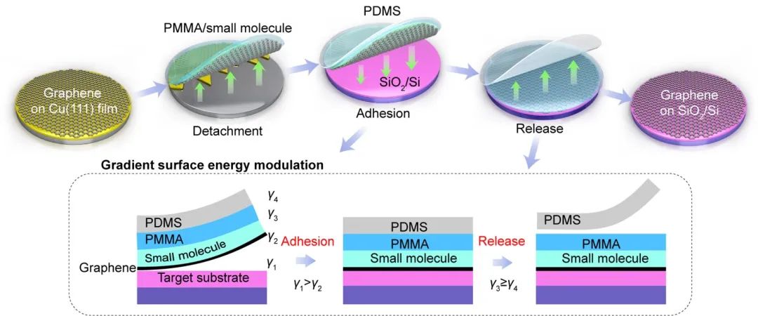 北京大学彭海琳课题组《自然-通讯》：超平整石墨烯晶圆转移与集成光电器件