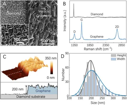 研究 | 与金刚石共价键合的垂直石墨烯片的超高机械强度