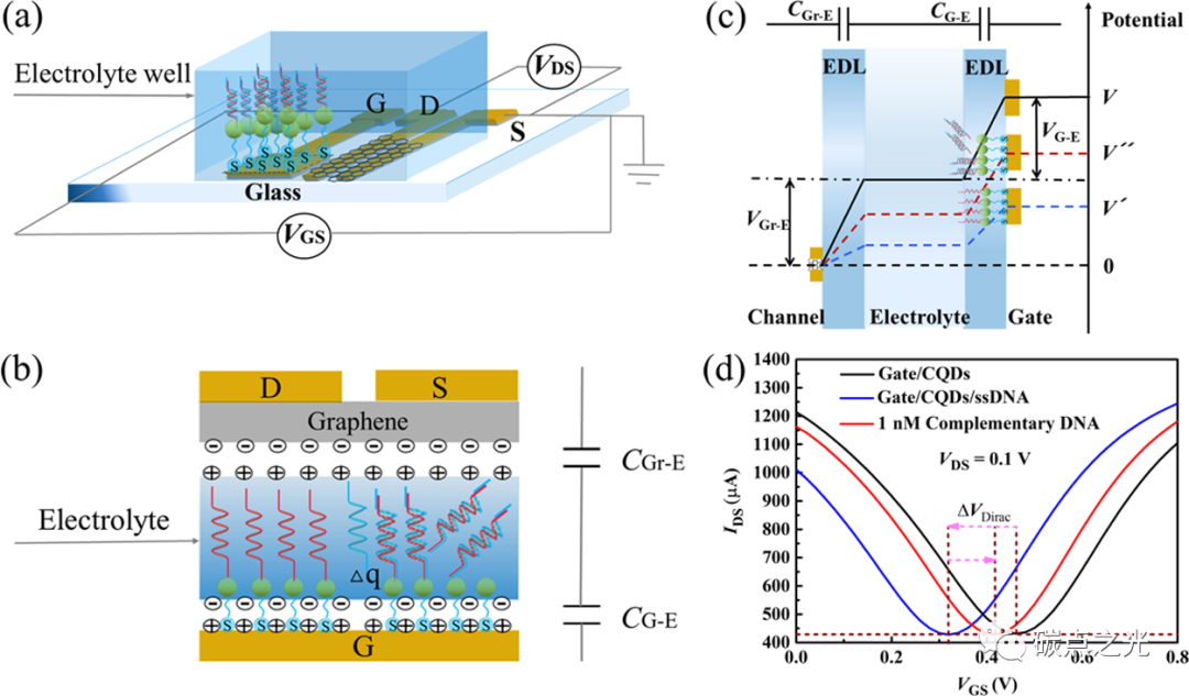 Analytical Chemistry:基于碳量子点功能化溶液门控石墨烯晶体管的超灵敏无标记DNA检测