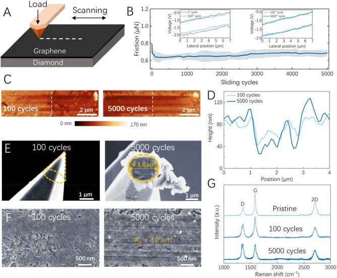 研究 | 与金刚石共价键合的垂直石墨烯片的超高机械强度