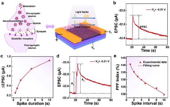 ​同济大学黄佳课题组：卟啉与单层石墨烯的共价耦合用于低压突触晶体管
