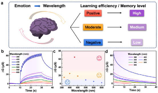 ​同济大学黄佳课题组：卟啉与单层石墨烯的共价耦合用于低压突触晶体管