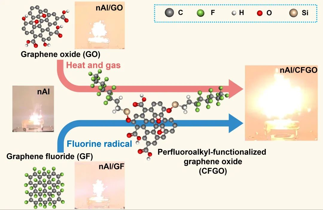 ACS Nano | 多功能含氟氧化石墨烯改善铝基含能材料性能
