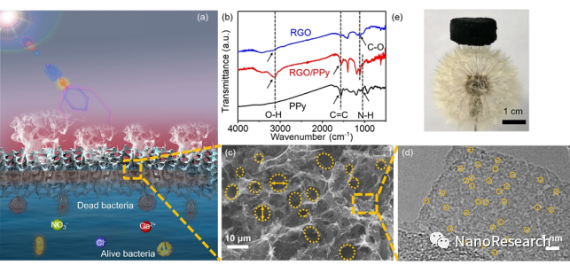 Nano Res.│厦门大学曹阳、侯旭课题组：还原氧化石墨烯/聚吡咯气凝胶作为高效抗菌蒸发器用于太阳能海水淡化