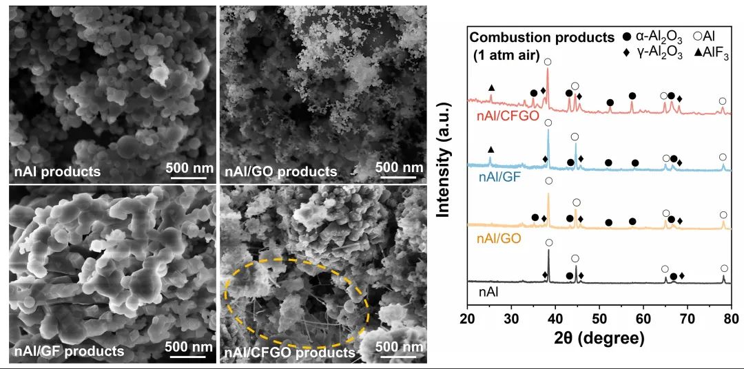 ACS Nano | 多功能含氟氧化石墨烯改善铝基含能材料性能