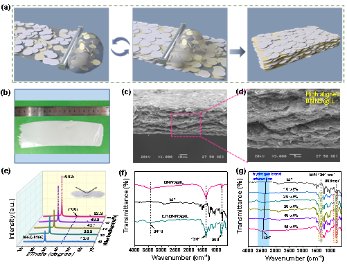 郑大刘春太教授/冯跃战副教授团队 CEJ ：基于循环刮涂铸造工艺制备兼具柔性、热稳定性和阻燃性能的环氧树脂基导热复合膜