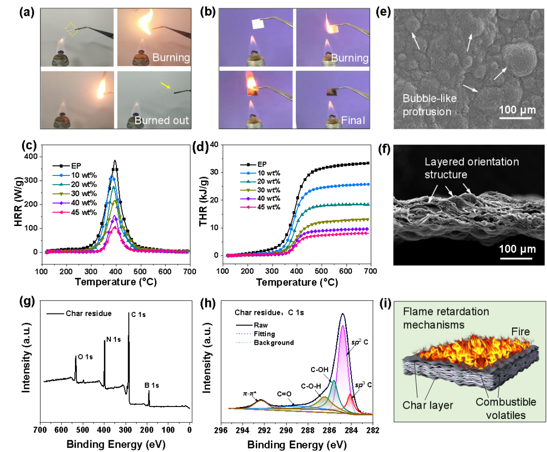 郑大刘春太教授/冯跃战副教授团队 CEJ ：基于循环刮涂铸造工艺制备兼具柔性、热稳定性和阻燃性能的环氧树脂基导热复合膜