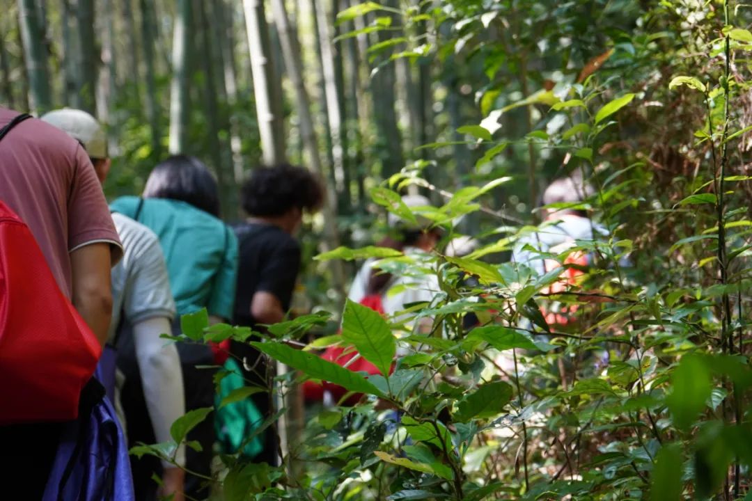 感受自然，共度野趣时光｜墨睿科技2022年团建圆满成功