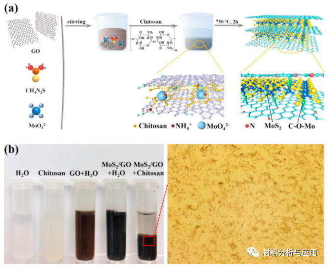 山东理工大学《Carbon》：通过壳聚糖提高MoS2与石墨烯的键合强度构建高度稳定的储锂材料
