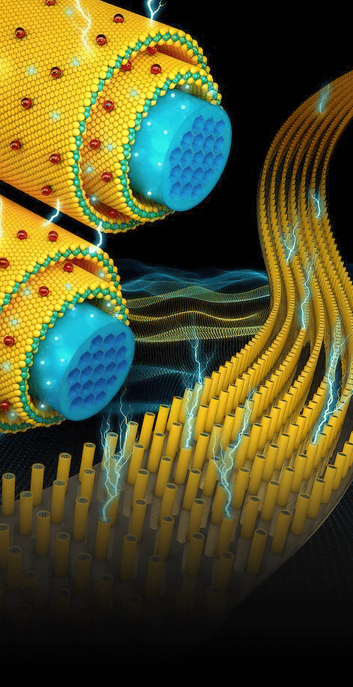 小丑竟是我自己！三大电容全都要，绝对国内头一家，江海股份：要做最靓的仔，奈何处处不如人（暨铝电解电容器四小强横评） | 风云主题