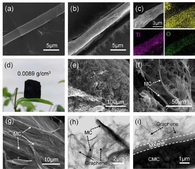 刘磊团队今日Chem. Eng. J.：MXene/纤维素微纤维复合石墨烯，微波吸收！