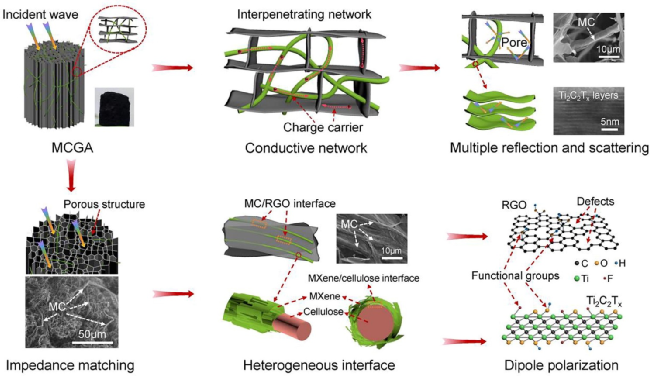 刘磊团队今日Chem. Eng. J.：MXene/纤维素微纤维复合石墨烯，微波吸收！