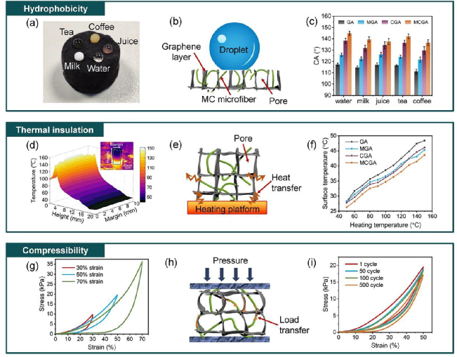 刘磊团队今日Chem. Eng. J.：MXene/纤维素微纤维复合石墨烯，微波吸收！