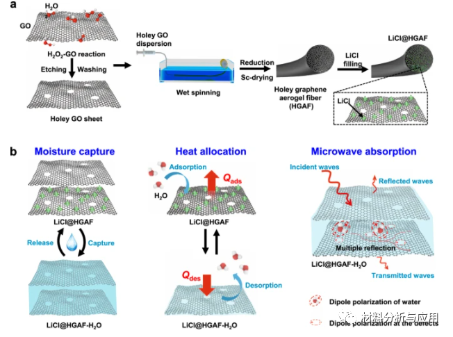 西北工业大学等《Nat Commun》：吸湿性多孔石墨烯气凝胶纤维可实现高效的水分捕获、热量分配和微波吸收