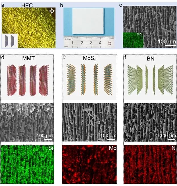 《Nano-Micro Letters》：浙大高超教授团队在二维胶体单畴液晶的大面积调控方面取得新进展