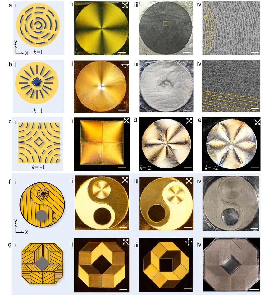 《Nano-Micro Letters》：浙大高超教授团队在二维胶体单畴液晶的大面积调控方面取得新进展