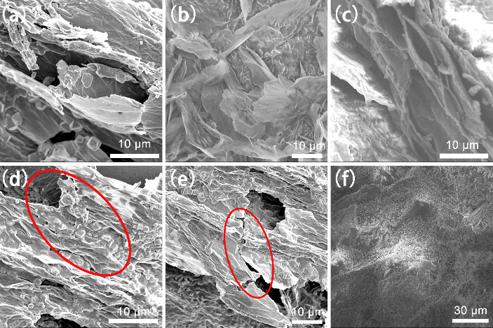 中国科学院山西煤炭化学研究所陈成猛团队：铜增强石墨烯气凝胶用于相变存储