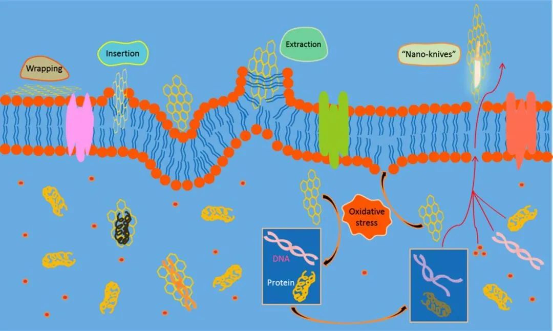 「科创者说」第八期 | 吕鹏：坚守匠心的新材料行业领跑者