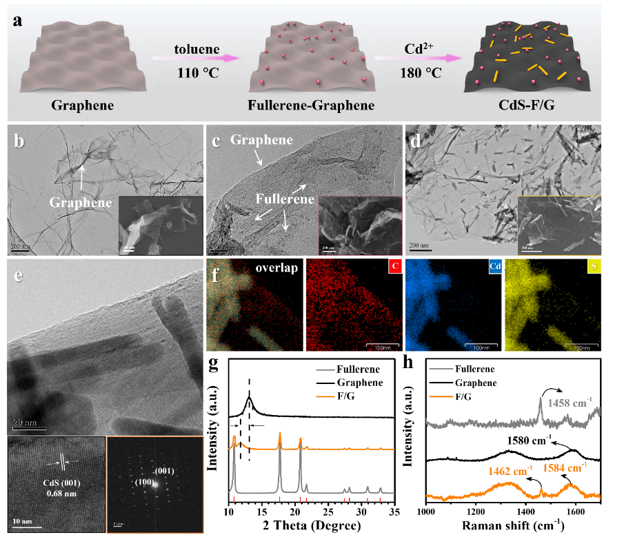 上海理工大学李贵生教授团队AFM: 石墨烯-富勒烯载体增强CdS光动力学方面取得新进展