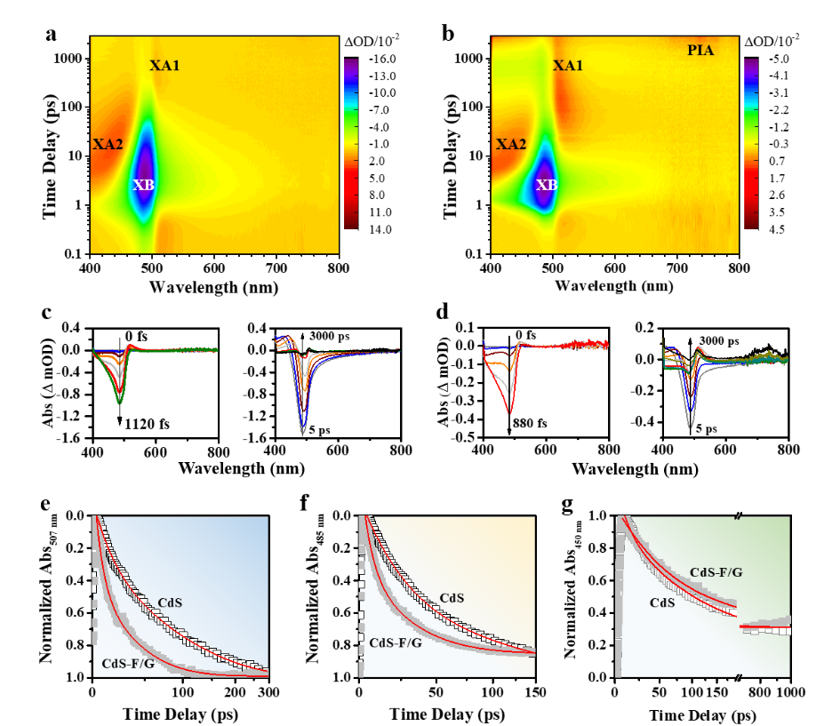 上海理工大学李贵生教授团队AFM: 石墨烯-富勒烯载体增强CdS光动力学方面取得新进展
