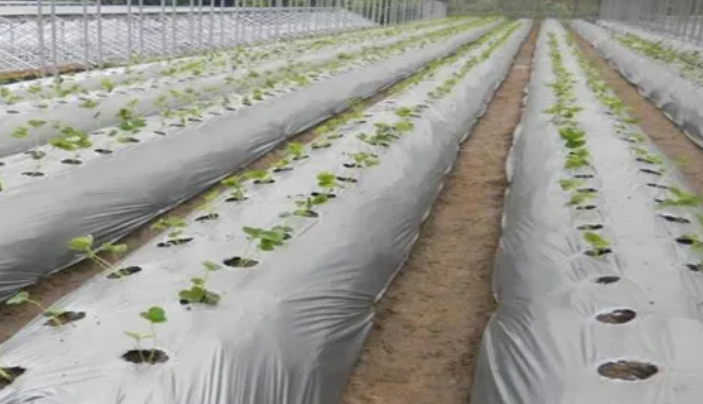 深圳石墨烯研究院自主研发的石墨新材料“可降解测试”获得权威机构检测通过