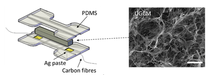 国内外华人科学家开发超柔石墨烯复合材料，首次实现高频肌肉收缩运动可穿戴检测突破
