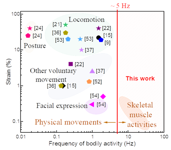 国内外华人科学家开发超柔石墨烯复合材料，首次实现高频肌肉收缩运动可穿戴检测突破