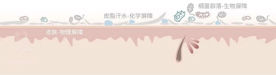 后疫情时代，石墨烯康护纤维交出抗菌抑菌新答卷！