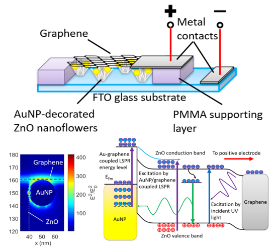 清华大学集成电路学院任天令教授团队PSS RRL：基于石墨烯和金纳米颗粒修饰的氧化锌纳米花的紫外光电探测器