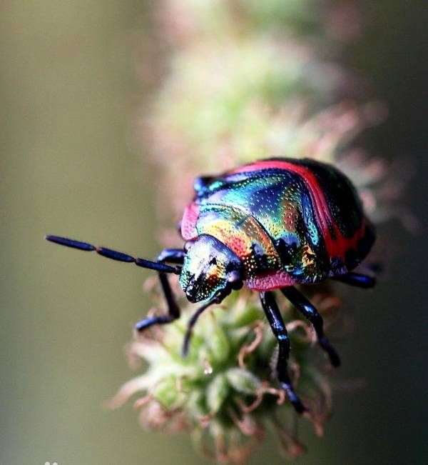 新型石墨烯涂层一旦形变就变色，有望用于飞机、桥梁等设备设施的故障检测