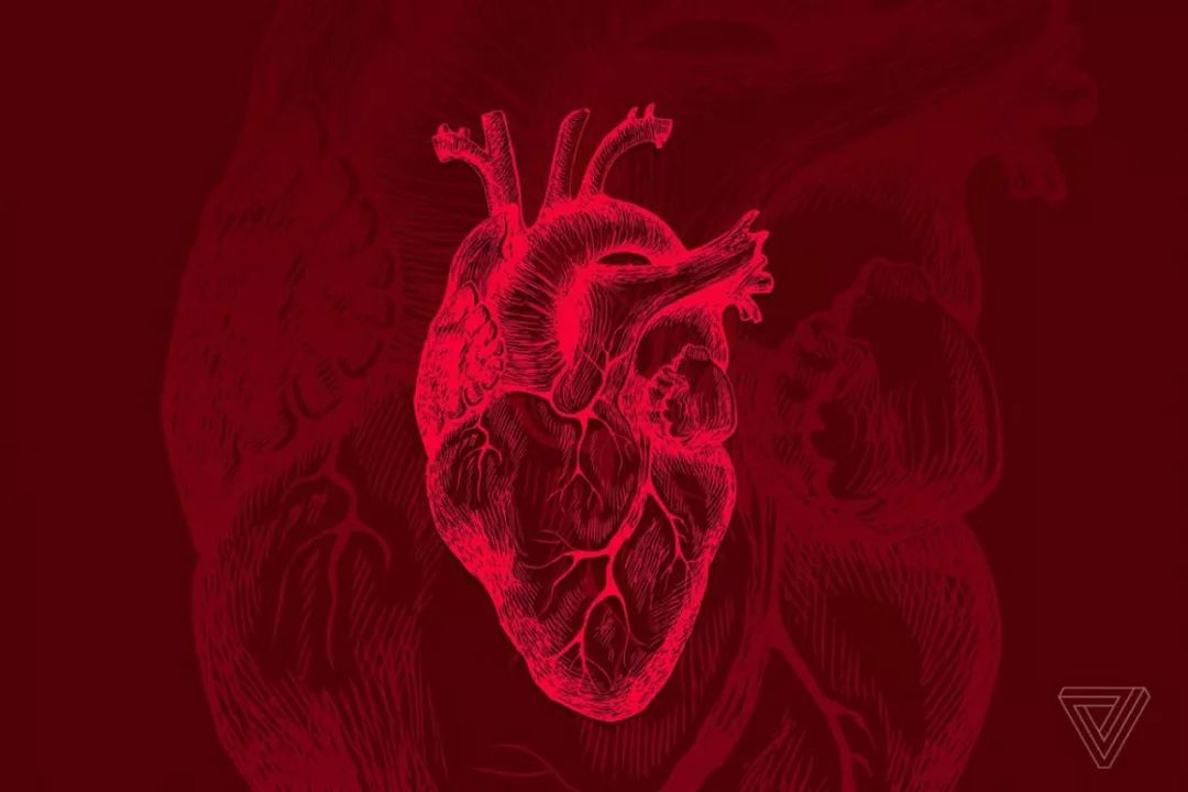 只用石墨烯和光控制心脏，实现不同跳动频率！测试药物对心脏影响将变得更容易