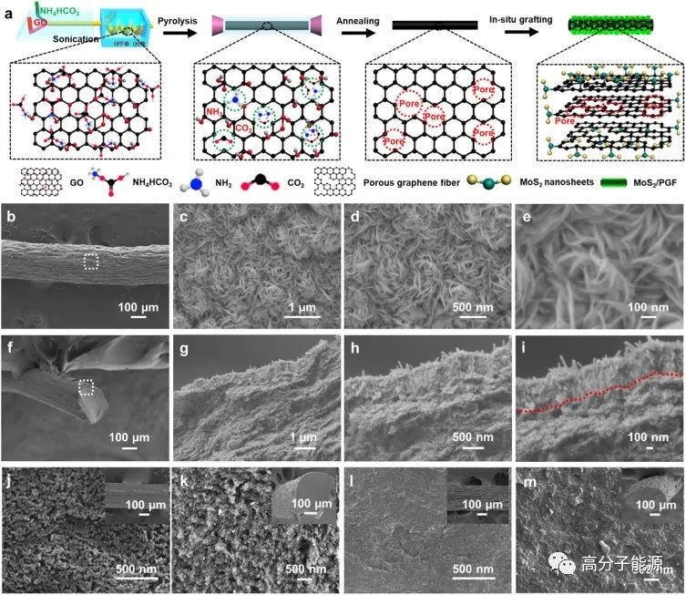 《ESM》二硫化钼/多孔石墨烯超纤维用于高电化学储能