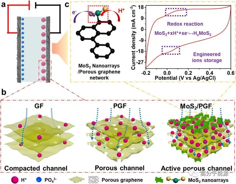 《ESM》二硫化钼/多孔石墨烯超纤维用于高电化学储能