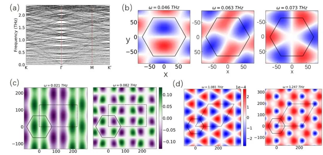 科研进展|上科大物质学院刘健鹏、孙兆茹联合团队在摩尔石墨烯体系的摩尔声子和奇异电荷序方面取得重要进展