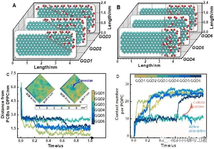 重庆三峡学院&广西大学《ASS》：石墨烯量子点自驱动实现低毒性跨膜