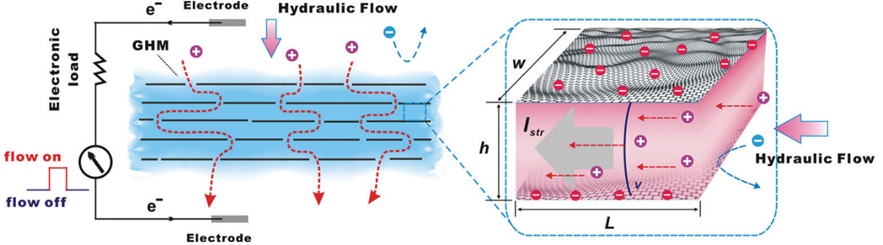 北京工业大学张倩倩、汪浩教授Energy Materials 综述：二维纳米流体助力蓝色能源收集