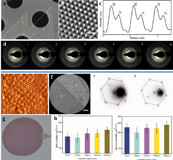 史浩飞/丁峰/黄晓旭最新NC：多晶铜箔表面成功生长晶圆级单晶石墨烯