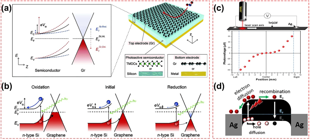 南京航空航天大学周建新副研究员课题组综述：石墨烯自供能传感系统