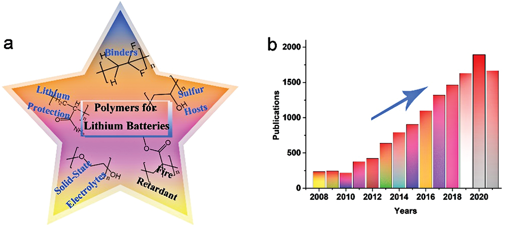 青科大王辉教授《Macromol. Mater. Eng.》综述：高分子材料在锂电池中的应用