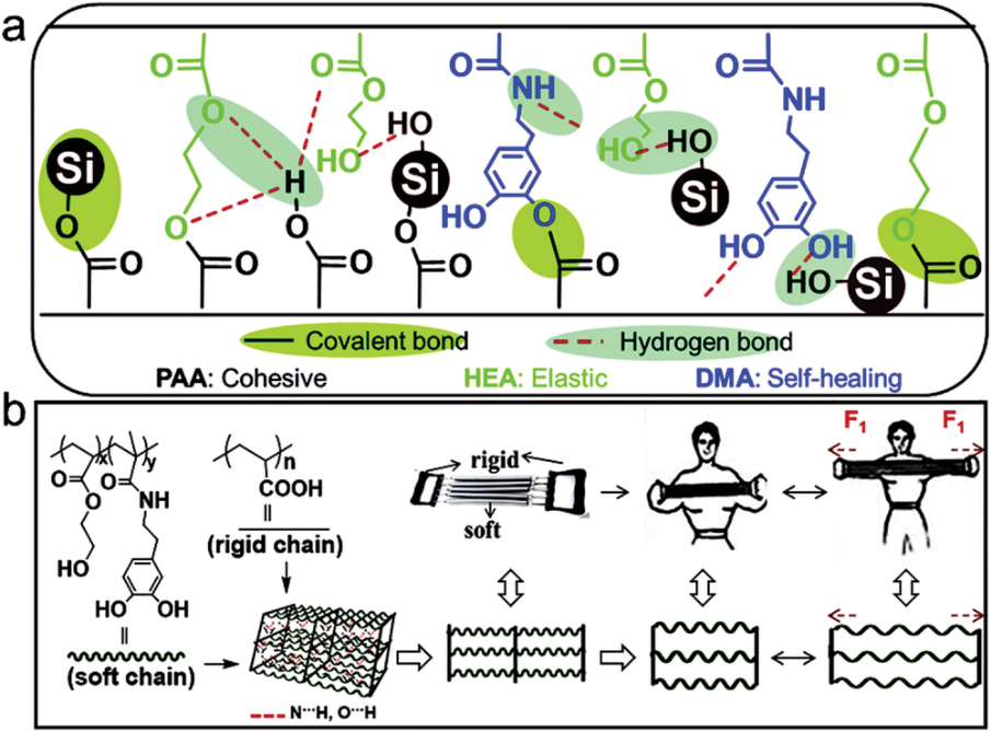 青科大王辉教授《Macromol. Mater. Eng.》综述：高分子材料在锂电池中的应用