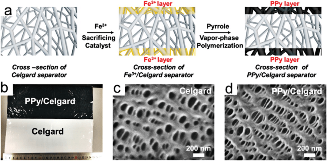 青科大王辉教授《Macromol. Mater. Eng.》综述：高分子材料在锂电池中的应用