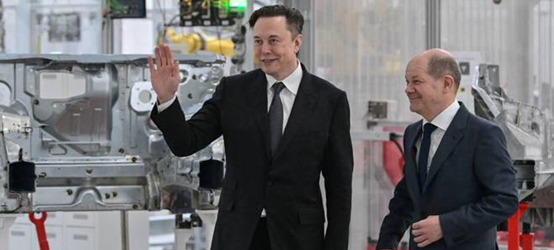 麦腾洞察 | 负极材料与石墨家族风云(上)：马斯克一句话，让“长子”石墨身价暴增