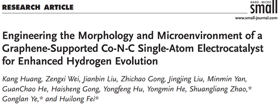 费慧龙教授，叶龚兰副教授，赵双良教授，Small研究文章：石墨烯基Co-N-C单原子催化剂的形貌和微环境调控及其电催化析