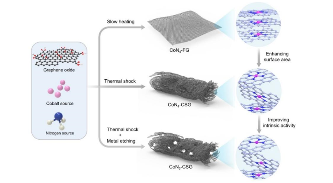 费慧龙教授，叶龚兰副教授，赵双良教授，Small研究文章：石墨烯基Co-N-C单原子催化剂的形貌和微环境调控及其电催化析